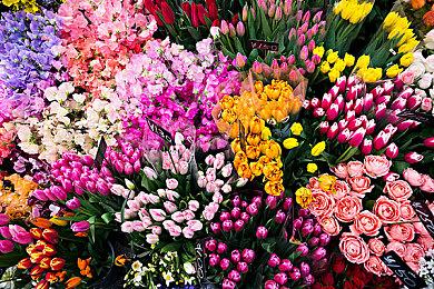 Xbox未达季度收入预期 相差8亿美元