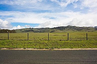 《星之海》开发商宣布删除游戏中的争议角色